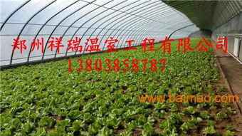 單體蔬菜大棚簡(jiǎn)易大棚設(shè)計(jì)建造商大棚配件銷(xiāo)售,單體蔬菜大棚簡(jiǎn)易大棚設(shè)計(jì)建造商大棚配件銷(xiāo)售生產(chǎn)廠家,單體蔬菜大棚簡(jiǎn)易大棚設(shè)計(jì)建造商大棚配件銷(xiāo)售價(jià)格