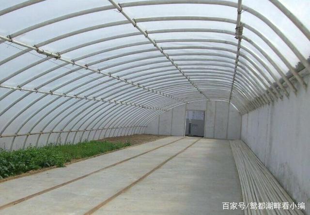 建一個(gè)一畝地的蔬菜大棚需要多少錢(qián)？