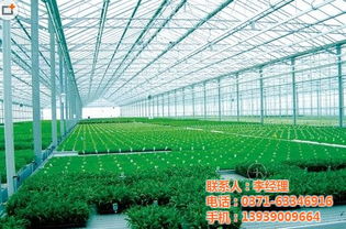 江西溫室大棚配件 鼎鑫溫室 在線咨詢(xún) 溫室大棚配件